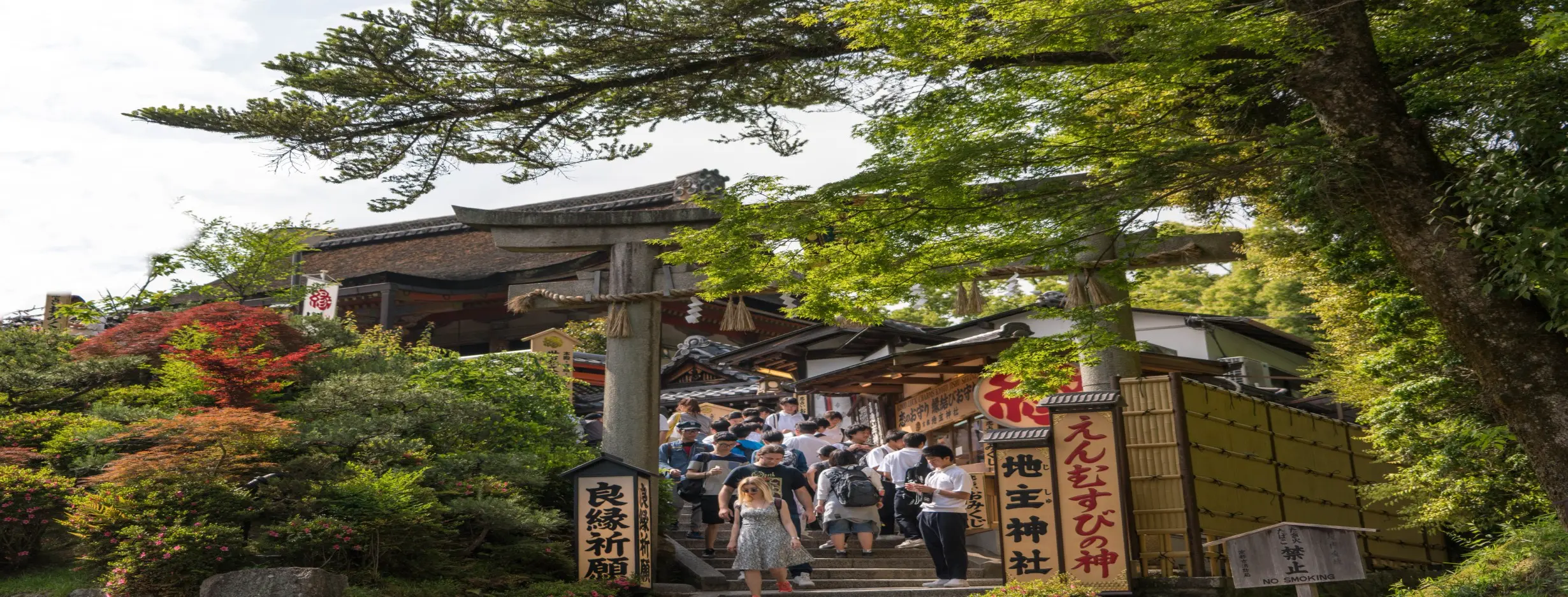 Image for Temple Hopping